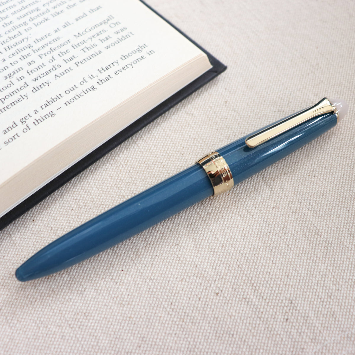 SAILOR Shikiori Fountain Pen- Frosty Night-F