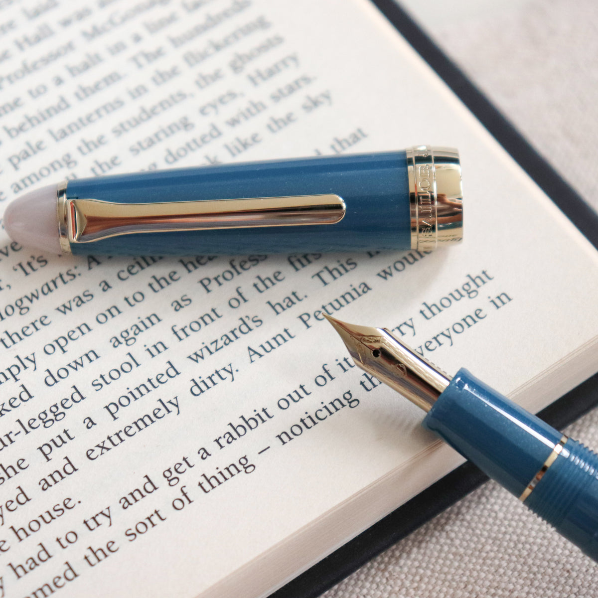 SAILOR Shikiori Fountain Pen- Frosty Night-F