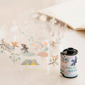 MU Kiss-Cut PET Roll Tape - Feather & Blossom