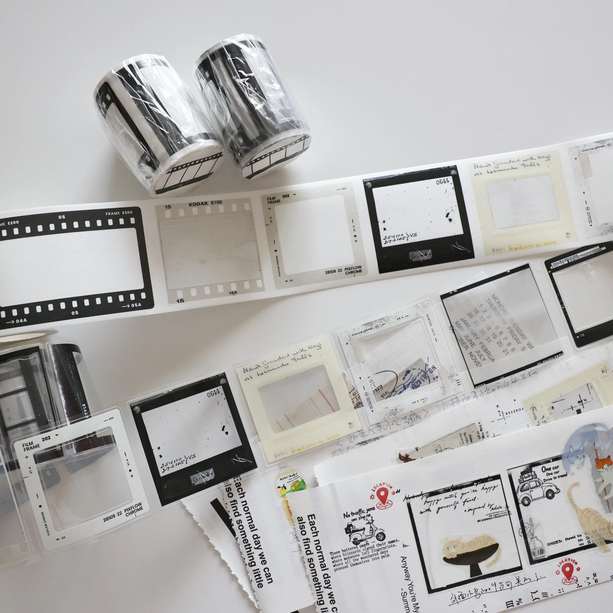 【Two Raccoons】Sticker Roll - Photo Film